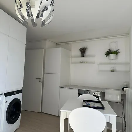 With 360° View Overlooking Geneva And Alps 4* Puidoux