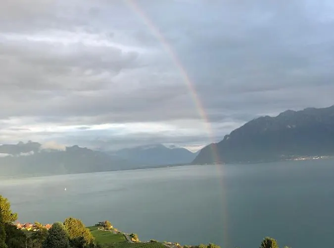 With 360° View Overlooking Geneva And Alps 4*