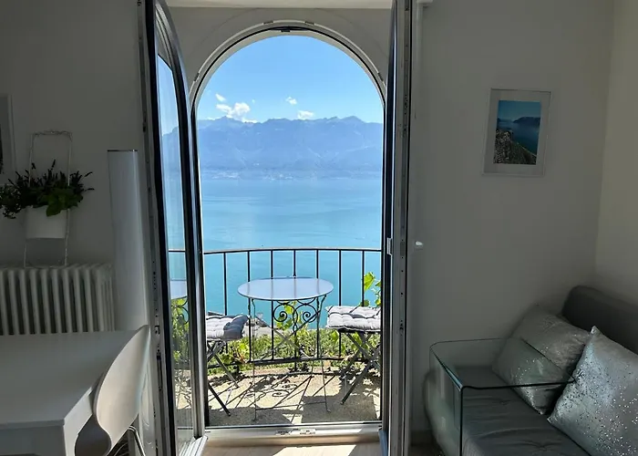 Pensjonat With 360° View Overlooking Geneva And Alps Puidoux