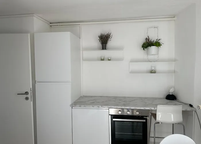 With 360° View Overlooking Geneva And Alps Puidoux